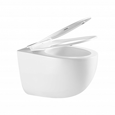 Подвесной унитаз безободковый Terminus Енисей Монолит 560х390 белый Березники - фото 7 Подвесной унитаз безободковый Terminus Енисей Монолит 560х390 белый Березники - фото 7