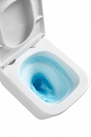 Подвесной унитаз безободковый Terminus Ватикан Монолит 490х340 белый Березники - фото 8 Подвесной унитаз безободковый Terminus Ватикан Монолит 490х340 белый Березники - фото 8