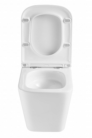 Подвесной унитаз безободковый Terminus Ватикан Монолит 490х340 белый Березники - фото 7 Подвесной унитаз безободковый Terminus Ватикан Монолит 490х340 белый Березники - фото 7