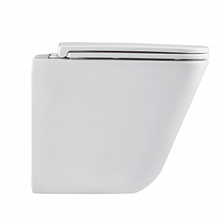 Подвесной унитаз безободковый Terminus Ватикан Монолит 490х340 белый Березники - фото 4 Подвесной унитаз безободковый Terminus Ватикан Монолит 490х340 белый Березники - фото 4