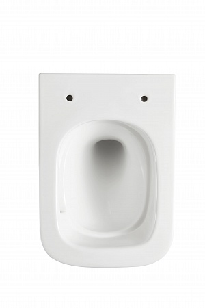 Подвесной унитаз безободковый Terminus Ватикан 490х340 белый Березники - фото 5 Подвесной унитаз безободковый Terminus Ватикан 490х340 белый Березники - фото 5