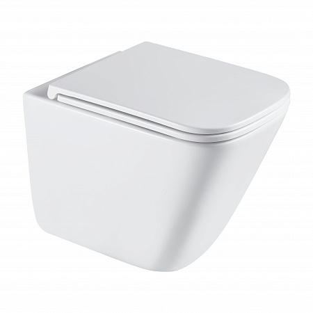 Подвесной унитаз безободковый Terminus Ватикан Монолит 490х340 белый Березники - фото 2 Подвесной унитаз безободковый Terminus Ватикан Монолит 490х340 белый Березники - фото 2