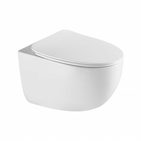 Подвесной унитаз безободковый Terminus Енисей Монолит 560х390 белый Березники - фото 2 Подвесной унитаз безободковый Terminus Енисей Монолит 560х390 белый Березники - фото 2