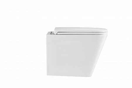 Подвесной унитаз безободковый Terminus Ватикан 490х340 белый Березники - фото 6 Подвесной унитаз безободковый Terminus Ватикан 490х340 белый Березники - фото 6