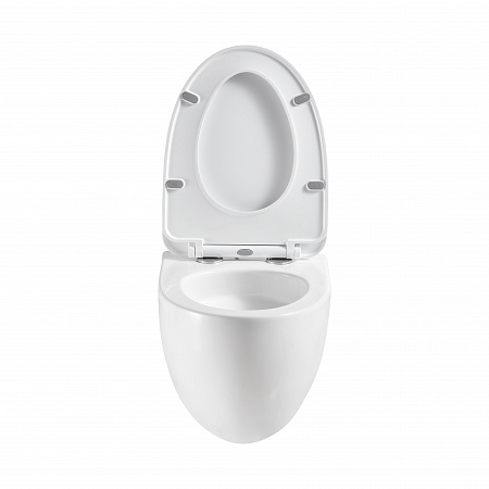 Подвесной унитаз безободковый Terminus Енисей Монолит 560х390 белый Березники - фото 5 Подвесной унитаз безободковый Terminus Енисей Монолит 560х390 белый Березники - фото 5