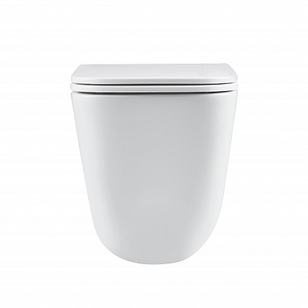 Подвесной унитаз безободковый Terminus Ватикан Монолит 490х340 белый Березники - фото 6 Подвесной унитаз безободковый Terminus Ватикан Монолит 490х340 белый Березники - фото 6