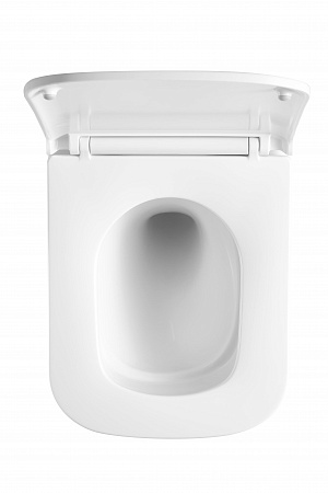 Подвесной унитаз безободковый Terminus Ватикан Монолит 490х340 белый Березники - фото 3 Подвесной унитаз безободковый Terminus Ватикан Монолит 490х340 белый Березники - фото 3